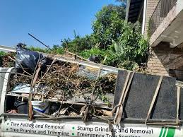 Best Attic Cleanout  in Kentfield, CA